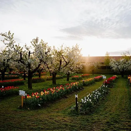 Beni Family Wine Farm