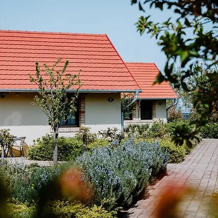 Farm stay Beni Family Wine Farm