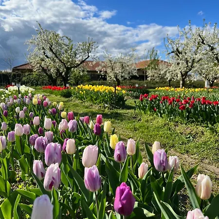 Beni Family Wine Farm Farm stay Cegled