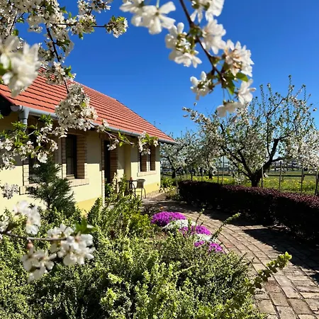Farm stay Beni Family Wine Farm