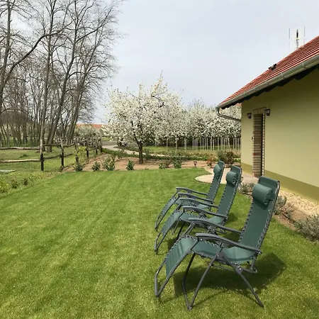 Alloggio per agriturismo Beni Family Wine Farm *