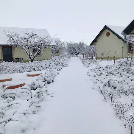 Beni Family Wine Farm Farm stay