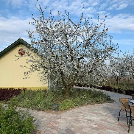 Farm stay Beni Family Wine Farm Cegled